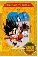 Dragon Ball #22