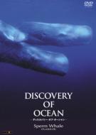 /Discovery Of Ocean Vol.7