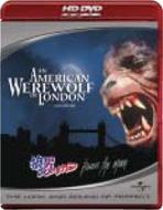An American Werewolf In London