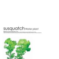 Susquatch/Water Plant