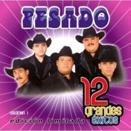 Pesado/12 Grandes Exitos Vol.1 (Ltd)