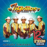 Tigrillos/12 Grandes Exitos Vol.2 (Ltd)