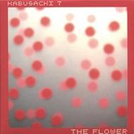 Flower / The Radio