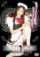 Maid no Heya: Okaerinasaimase, Goshujin sama: Hard Design