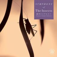 Symphony Of The Insects Nature Sound Gallery