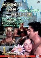 �T���\���ƃf����