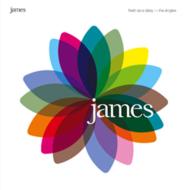 James/Fresh As A Daisy Singles