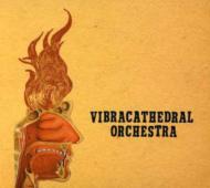 Vibracathedral Orchestra/Wisdom Thunderbolt