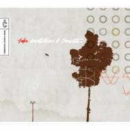 Earthtones & Concrete