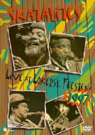 Live At Lokerse feesten 1997