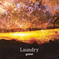 goche'/Laundry