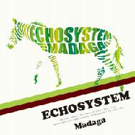 Echosystem/Madaga