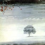 Wind And Wuthering