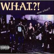 W. h.a. t.?!/Now What