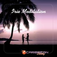 Various/Irie Meditation