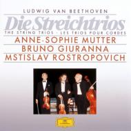 Beethoven: The String Trios