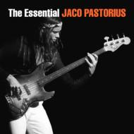 感動の出来映えジャコ限定フィギュア｜HMV&BOOKS onlineニュース