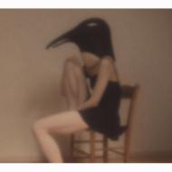 Various/Penguin Cafe Orchestra - Tribute