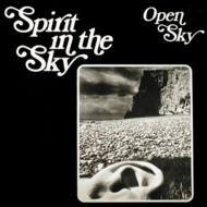 Spirit In The Sky