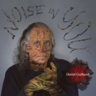 David Garland/Noise In You