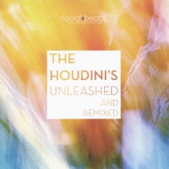 Unleashed And Remixed