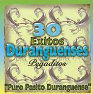 Various/30 Exitos Duranguenses Pegaditos�� Puro