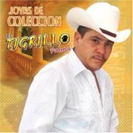 Tigrillo Palma/Joyas De Coleccion