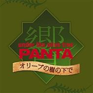 完売 : オリーブの樹の下で Panta FLPC005 - online HMV&BOOKS | 響 邦楽