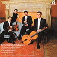 Oboe Quartets-mozart, Britten.abel, C.stamitz: Ensemble Amadeus