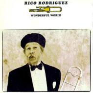 洋楽 RICO RODRIGUES WONDERFUL WORLD 45 RPM Rico Rodrigues / Wonderful World | VINYL7 RECORDS
