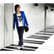 �볭�������/������������