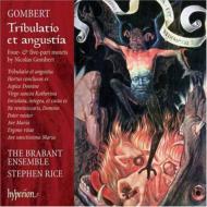 ١롢˥c.1495-c.1560/Tribulatio Et Angustia S. rice / The Brabant Ensemble