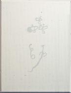 Mushi Shi Ohtomo Katsuhiro Kanzen Kanshu Mushi Bako