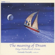 The Meaning Of Dream