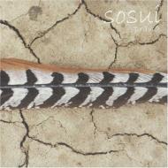 Sosui/Prana