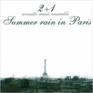 Summer Rain In Paris