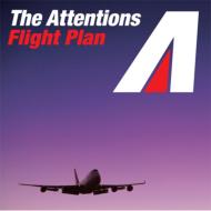 ƥ󥷥/Flight Plan