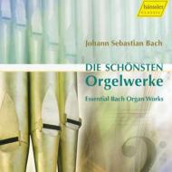 Organ Works: Bryndorf K.johannsen Marcon Zerer Lucker
