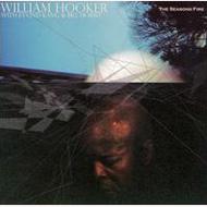 William Hooker / Bill Horist / Eyvind Kang/Seasons Fire