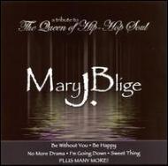 Various/Tribute To Mary J Blige