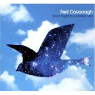 Short Flight To A Distant Star