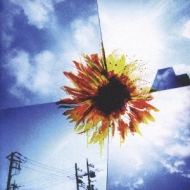 SOUTH BLOW/Shine