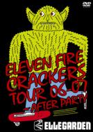 ELLEGARDEN/Eleven Fire Crackers Tour 06-07 - After Party