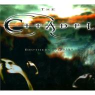 Citadel/Brothers Of Grief