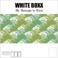 White Boxx/My Message To Mum