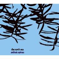North Sea (Rock)/Archaic Spines