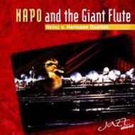 Napo And The Giant Flute (Jazz Ahead Quartet)