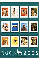 �r�b�O�R�~�b�N�I���W�i�� 2008�N ���J�����_�[