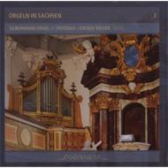 Orgeln In Sachsen Vol.3: Rieger