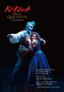 Don Quichotte